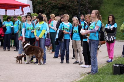 Večerní špacír 2015