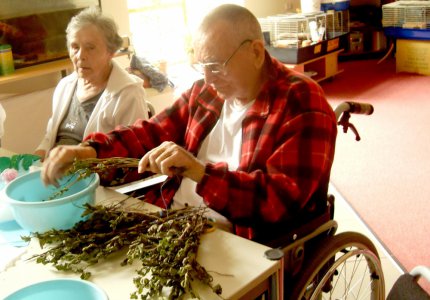 Nasbíráno, usušeno a uloženo na zimu …