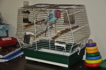 Jak to u nás vypadá