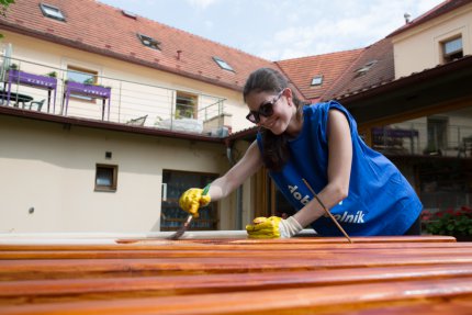 Dobrovolnický den firmy Pfizer