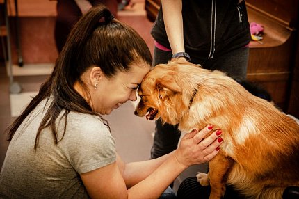 Skupinová canisterapie s Lily