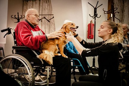 Skupinová canisterapie s Lily