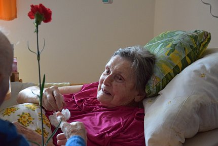 Setkání klientů s terapeutickým koněm Sagim