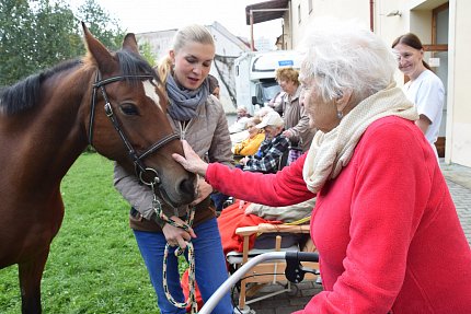 Návštěva klisny Lady