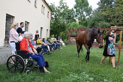 Setkání klientů s terapeutickým koněm Sagim